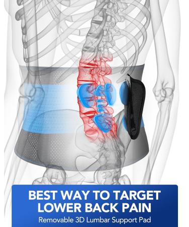 Fitomo Lower Back Support Brace for Men and Women - 3D Lumbar Pad & 5 Flexible Supports - Ultra-Thin Mesh Fabric - Relieve Lower Back Pain - Posture Work - Heavy Lifting - Sciatica - Herniated Disc (Blue, XXL) - Buy Online on GoSupps.com