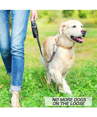 4-Piece Bituocs Carabiner Set - Heavy Duty Snap Hooks for Hammocks Camping Hiking & Fishing - 60 kg Capacity - Buy Online on GoSupps.com