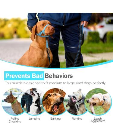 Weesiber Soft Dog Collar Adjustable Padded Dog Head Harness with Reflective Strips for Safe Training & Walking (Large Blue) - Buy Online on GoSupps.com