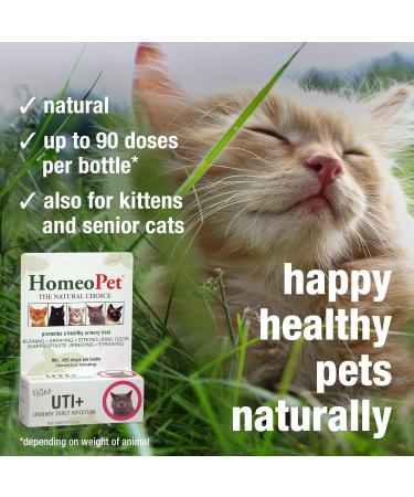 HomeoPet Feline UTI Plus Safe and Natural Urinary Tract Medicine for Cats Feline Urinary Tract Support 15 Milliliters - Pack of 2 - Buy Online on GoSupps.com