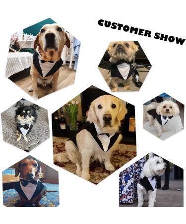 Dog Wedding Suit Tuxedo for Small Medium & Large Dogs - Formal Party Outfit with Removable Bow & Bandana (Black M) - Buy Online on GoSupps.com