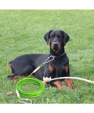 Buy Tie-Out Leashes for Dogs | Durable 3/6/9/15m Yard Leash in Green - Perfect for Safe Outdoor Play - Buy Online on GoSupps.com