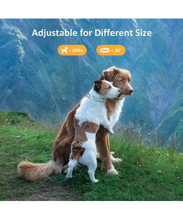 Dog Prong Collar Choke Collar for Dogs Pinch Training Collar Detachable Adjustable Choke Collar with Comfort Rubber Tips Metal Adjustable Large Middle Dog Pet Pinch Collar (A XL) A XL - Buy Online on GoSupps.com