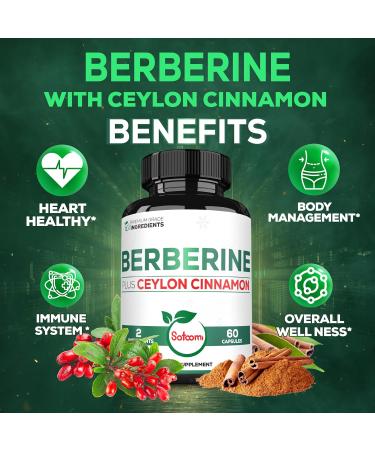 Satoomi 1500mg Berberine with Ceylon Cinnamon Supplement - Extra Strength for Immune System, Digestive Health, Body Management & Energy Production - 60 Capsules - Gluten-Free, Non-GMO 60 Count (Pack of 1) - Buy Online on GoSupps.com