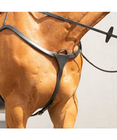 Premium Sunride Front Stuff Ascot - Real Leather Martingal for Horses | 5-Point & 3-Point Options | Quick Reins Threading - Black Full Size - Buy Online on GoSupps.com