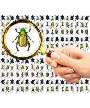 FLONZNAIL Nail Stickers Decal Transfers (5 Sheets) Bugs Vintage Illustration