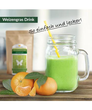 Organic 500g Wheat Grass Powder - Raw Food Quality Additive-Free Gentle Low-Temperature Processing | Winged Swingers - Buy Online on GoSupps.com