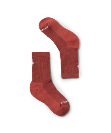 Smartwool Kids Hike Full Cushion Crew Socks Dusty Cedar L