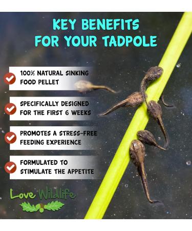 Love Wildlife Tadpole Food Twin Pack 2 x 80g Newts Frogs Toads - Buy Online on GoSupps.com