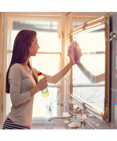Professional Glass Cleaner Concentrate 500ml | Eco-Friendly Window Cleaner with Lotus Effect - Effective Glass Cleaning Solution - Buy Online on GoSupps.com