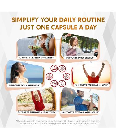 Ceylon Cinnamon Apple Cider Vinegar Berberine Turmeric & Ginger Support Metabolism & Digestion 180 Capsules 180 Count (pack of 1) - Buy Online on GoSupps.com