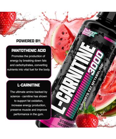 Nutrex Research Liquid Carnitine 3000 | (Strawberry Watermelon) | Premium L Carnitine Liquid Stimulant Free 31 Servings 31 servings Strawberry Watermelon - Buy Online on GoSupps.com