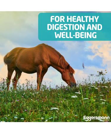 Eggersmann Mein Pferdefutter Vitalize Gastro Plus E Stomach Sensitive Horse Food Grain Free with Magnesium for Muscles and Ne - Buy Online on GoSupps.com