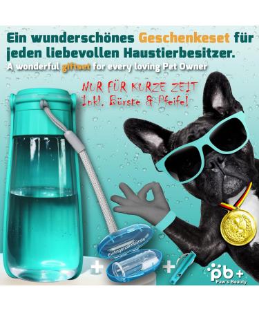 Shop the NEW 3 Series Dog Gift Set | 550ml Foldable Leak-Proof Drinking Bottle with Toothbrush & Pipe | Premium On-the-Go Solution for Dogs - Turquoise - Buy Online on GoSupps.com