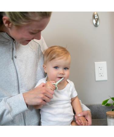 Dr. Brown's Infant-to-Toddler Training Toothbrush Set - Mint Elephant & Fluoride-Free Strawberry Baby Toothpaste for 0-3 Years - Buy Online on GoSupps.com