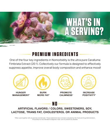 Ambrosia Nomorbidity Appetite Control | Advanced Appetite Suppressant & Mood Support with KSM-66 Ashwagandha Garcitrin & Thinogen | International Shipping Available - Buy Online on GoSupps.com