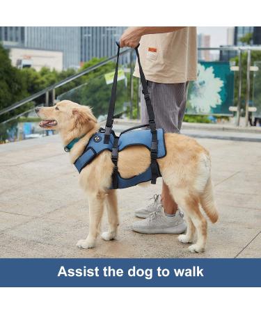 COODEO Dog Lifting Harness - Adjustable Breathable Support for Rehabilitation | Ideal for Old & Disabled Pets - Blue - International Shipping - Buy Online on GoSupps.com