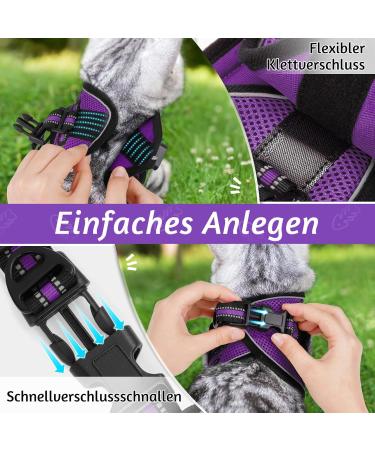 Rabbitgoo Adjustable Cat Dishes with Leash | Reflective Stripes | Soft & Stylish | Purple for Cats & Kittens (1 Pack) - Buy Online on GoSupps.com