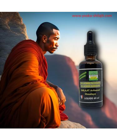 YOOKA Natural Shilajit Artisan Liquid 60ml Pure Himalayan Gold. 70% FULVIC ACID +85 minerals 12% humic acid. Sun drying 60 days purified 40 times. Food certification in France - Buy Online on GoSupps.com