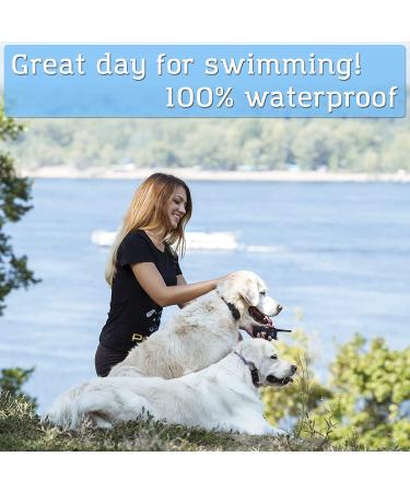 PetSpy P620 Dog Training Shock Collar - Rechargeable and Waterproof Remote Trainer for Dogs 10-140 lbs - Buy Online on GoSupps.com