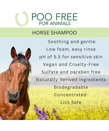 99% Natural MUDDY HORSE SHAMPOO - with ALOE VERA NEEM & TEA TREE - 250ml - by POO FREE - No Sulfates No Parabens No Silicone. Concentrated Cleans Soothes Moisturizes Relieves. - Buy Online on GoSupps.com