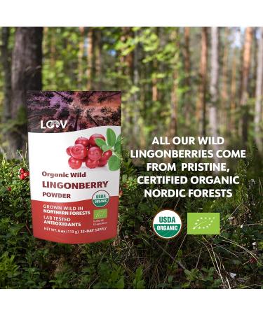 Poudre d airelles rouges sauvages biologiques LOOV 113 g 100% baies enti res lyophilis es sans sucre ajout r colt es l tat sauvage dans les for ts d Europe du Nord - Buy Online on GoSupps.com