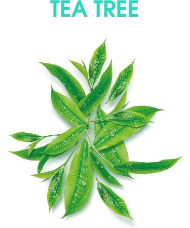 Alberto Balsam Tea Tree Tingle - Mint Scent - Revitalizing Shampoo - Hair Care for the Whole Family - 350 ml - Buy Online on GoSupps.com