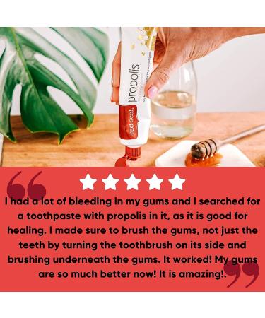 Red Seal Propolis Toothpaste with 100% NZ Bee Propolis Extract - Anise, Peppermint & Eucalyptus Oils - No Fluoride or Preservatives - 2 Pk - Buy Online on GoSupps.com
