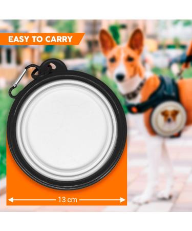 PRAGER Rattler - Foldable Portable Dog Bowl with Carabiner | Travel-Friendly Pet Food Bowl for Dogs & Cats - Buy Online on GoSupps.com