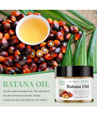 Batana Oil for Hair Growth 100% Batana Oil Organic Raw Batana Oil for Hair Growth Repairs Damaged Hair Oil Reduces Hair Loss Batana Oil for Hair Mask Scalp Hair Growth Oil - Buy Online on GoSupps.com