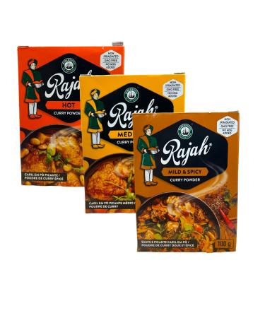 Rajah Curry Powder Multipack | Hot | Medium | Mild & Spicy | 3 x 100g | South African