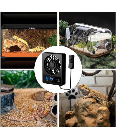 Neamou Reptile Fan - Smart Cooling Fan for Reptile Tank with LED Display | Strong Wind Vent Fan Low Noise Cooling Fan for Amphibians Reptiles Snakes B: Celsius ( ) - Buy Online on GoSupps.com