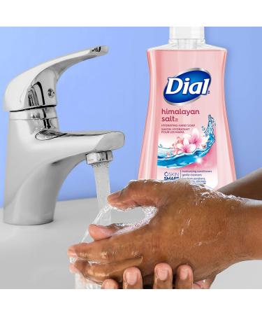 Dial Liquid Hand Soap Himalayan Pink Salt & Water Lily 7.5oz - Pack of 1 - Buy Online on GoSupps.com