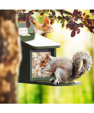 Paul's M hle Gourmet Squirrel Food 1 kg - Premium Nutritious Blend for Healthy Squirrels | Buy Internationally - Buy Online on GoSupps.com