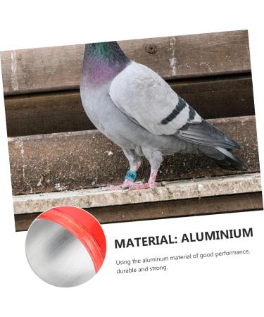 Balacoo 300 Pcs Homing Pigeon Identification Ring Tools Private Pigeons Marker Bird Distinguish Tool Birds 1.1x0.8cm x3pcs Colorfulx3pcs - Buy Online on GoSupps.com