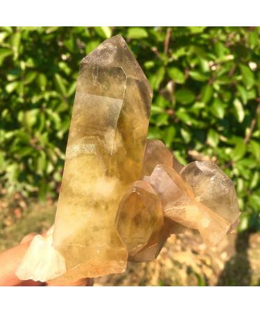 Stone 300G Natural Citrine Cluster Specimen Quartz Crystal Balance Gemstone Decoration Crystal Cluster - Buy Online on GoSupps.com