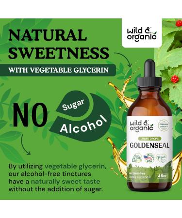 Wild & Organic Goldenseal Tincture - Respiratory Lung Health Drops & Digestive Support - 4 oz Liquid Extract - Buy Online on GoSupps.com