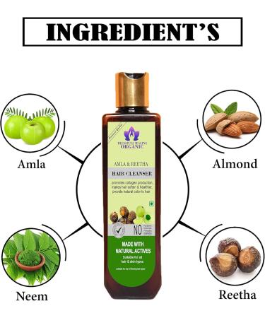 Blessfull Healing Organic Amla & Reetha Hair Cleanser | Shampoo 100 ML (Packing May Vary) - Buy Online on GoSupps.com