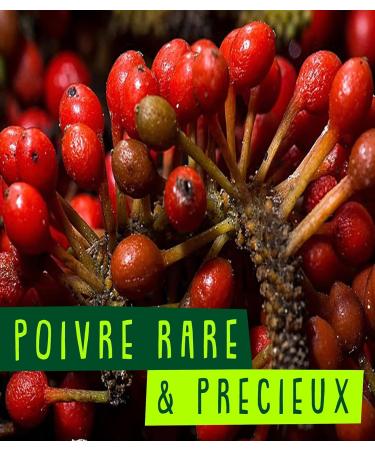 Replant Wild Pepper from Madagascar Voatsiperifery 100g - Grand Cru Black & Red Peppercorns in Freshzip Bag - Premium Quality 2023 - Buy Online on GoSupps.com