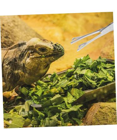 COLLBATH Reptile Feeding Clip Bearded Dragon Feeding Tongs Snake Tong Stainless Steel Silver - Buy Online on GoSupps.com