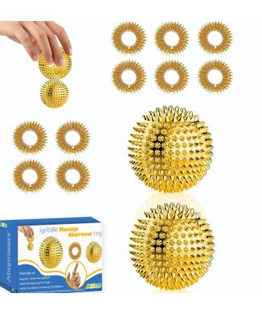 2 hedgehog ball + 10 acupressure rings - Skills Borderline Set With Skill Ball Metal Skill Ring - Acupressure Ball Igel Balls Small 3cm Acupressure Ring Skills Set Stress Adult Massage Sir - Buy Online on GoSupps.com