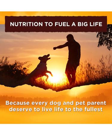 Nature's Recipe Grain Free Wet Dog Food Chicken Variety Pack 2.75 oz x 24 Cups - Buy Online on GoSupps.com