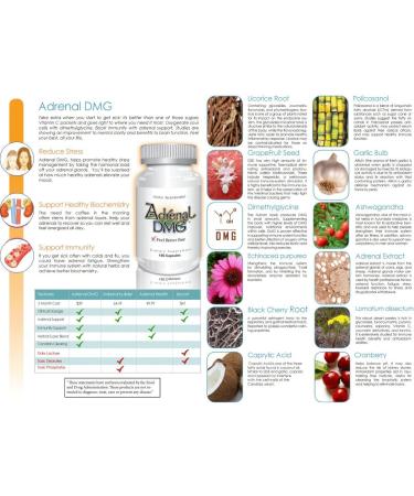 Adrenal DMG - 180 Capsules - Support Daytime Energy Better Sleep Immune System Reduce Stress Levels and Fatigue - All Natural Supplement - Buy Online on GoSupps.com