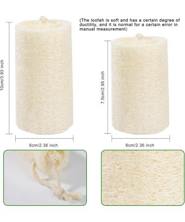 Biodegradable Luffa Sponges | Natural Dead Skin Remover | Eco-Friendly Kitchen & Personal Hygiene | 10cm x 7cm - Buy Online on GoSupps.com