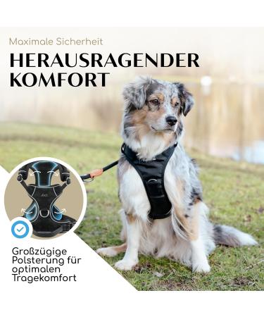 Freudenier Dog Harness - Breathable Comfortable & Durable | Perfect for All Dog Sizes (Black Small) - International Shipping Available - Buy Online on GoSupps.com