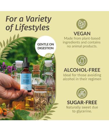 HERBAMAMA Adrenal Support and Rhodiola Kit - Bundle of Liquid Adrenal Support Complex 2 fl oz & Rhodiola Rosea Capsules - Vegan Non-GMO Gelatin & Alcohol-Free - 2 Pack - Buy Online on GoSupps.com