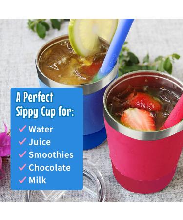 Kichuzl Colorful Straw Cups Pack of 2 - Stainless Steel Toddler Cup Set (Rose/Blue) - Buy Online on GoSupps.com