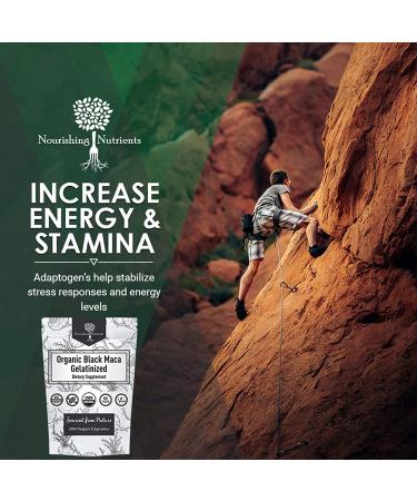 Organic Gelatinized Black Maca 3X Stronger Capsules for Men & Women - Natural Energy Supplement for Focus, Stamina & Endurance - 200 Count - Buy Online on GoSupps.com