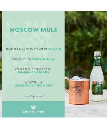 Fever-Tree Ginger Beer 4 x 200 ml - Pack of 6 (24 Bottles) | Buy Internationally Online - Buy Online on GoSupps.com