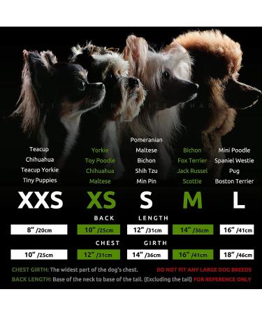 Fitwarm 100% Cotton Dog Dress | Colorful Rainbow Green | Medium Size - Buy Online on GoSupps.com